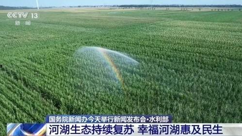 农田视频,丰收景象尽收眼底