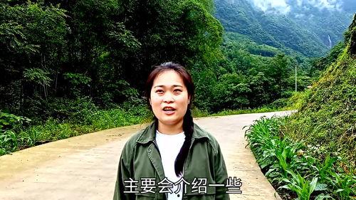 桌面介绍视频,桌面介绍视频精华概览